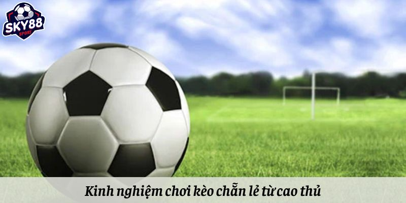 Kinh nghiệm chơi kèo chẵn lẻ từ cao thủ