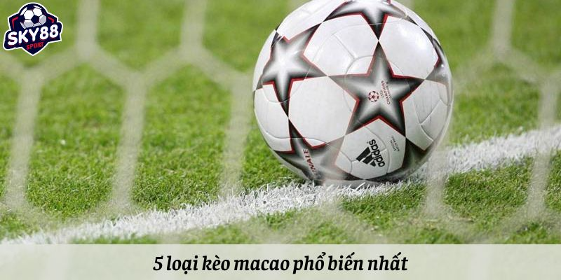 5 loại kèo macao phổ biến nhất