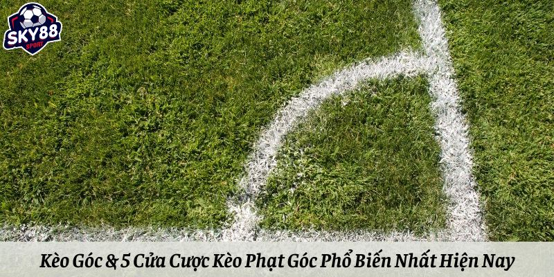 Kèo Góc & 5 Cửa Cược Kèo Phạt Góc Phổ Biến Nhất Hiện Nay