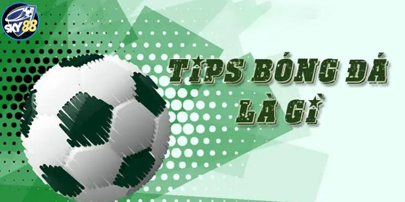 Chia Sẻ 2 Hình Thức Đưa Tips Bóng Đá Hay Gặp Hiện Nay