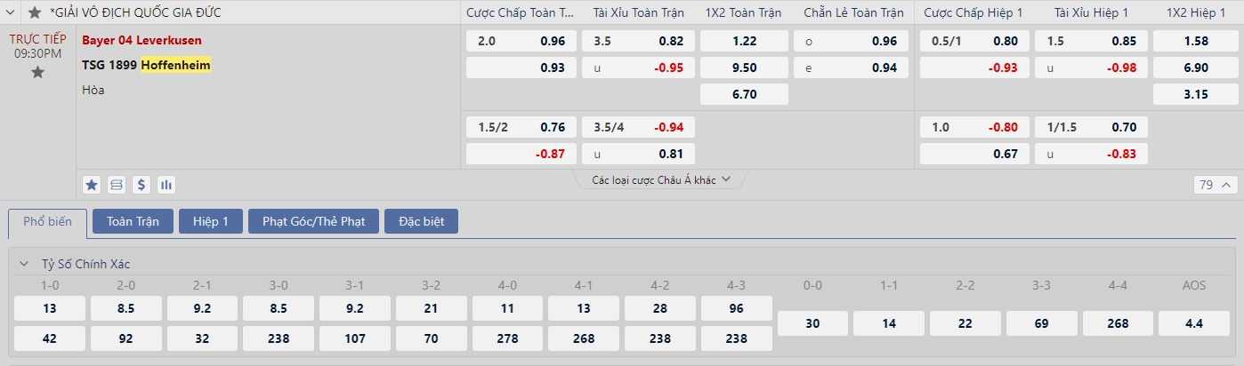 Soi kèo Bayer Leverkusen vs Hoffenheim